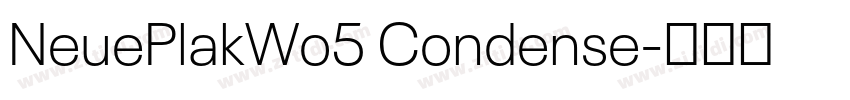 NeuePlakWo5 Condense字体转换